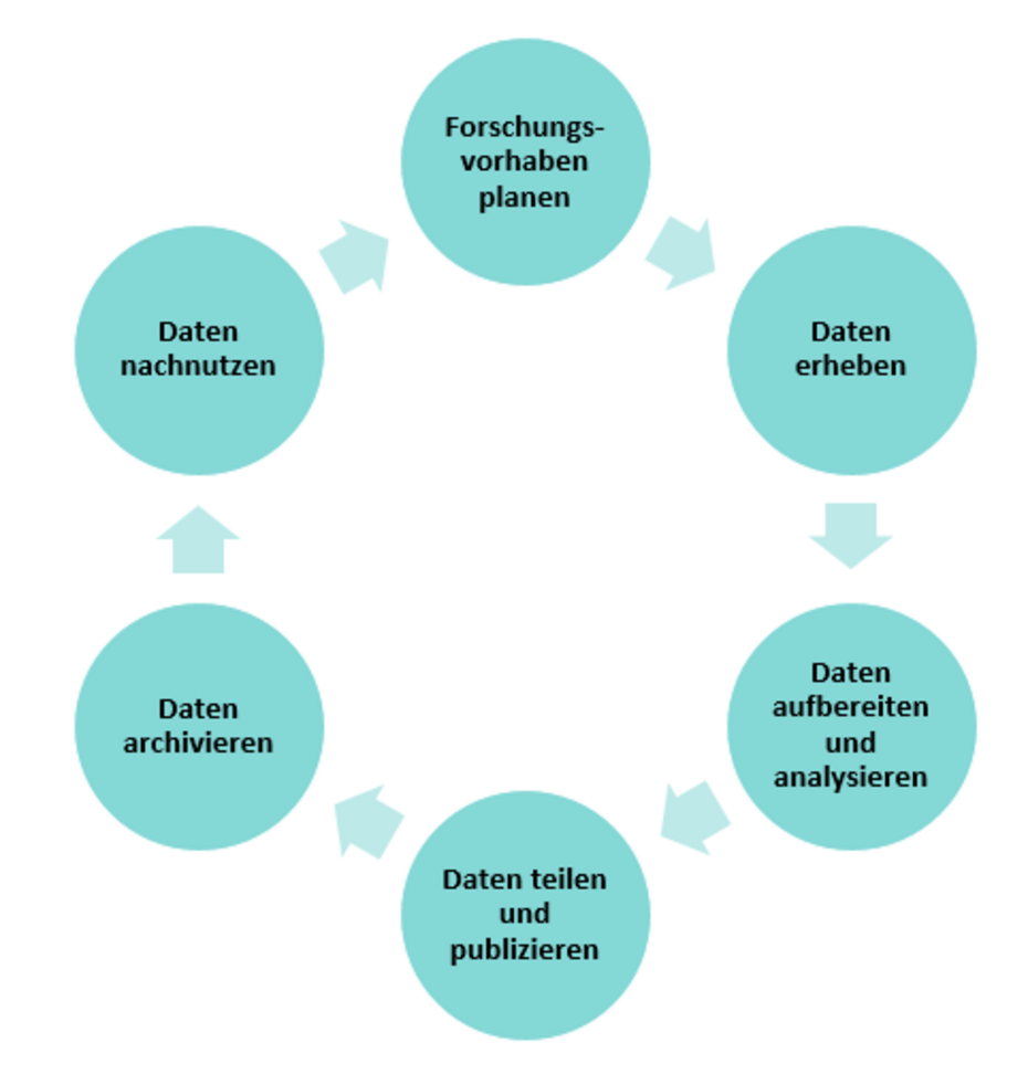 Der Lebenszyklus umfasst folgende Phasen: Forschung planen, Daten erheben, Daten aufbereiten und analysieren, Daten teilen und publizieren, Daten archivieren, Daten nachnutzen